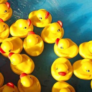 Duck Pond Floaters