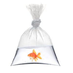 Plastic Fish Bags carnival supplies