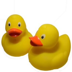 3" River Duck