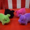 Plush Animated Pigs Carnival Supplies
