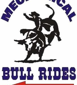 Mechanical Bull Ride Sign