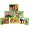 Wild Animal Jigsaw Puzzles Carnival Prize
