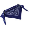 Blue Bandannas Carnival Prize