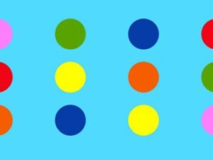 6_color_laydown