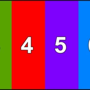 8 Number Laydown
