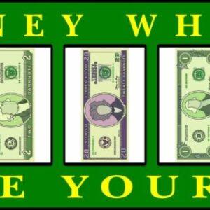 money wheel laydown