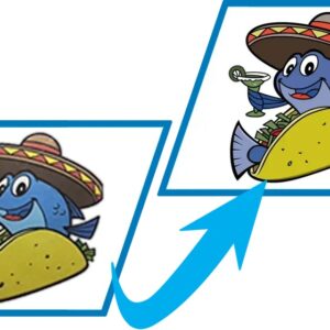 Sample fuzzy jpeg converted to vector