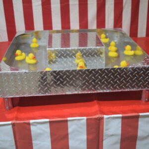 Fish Pond used as duck pond game