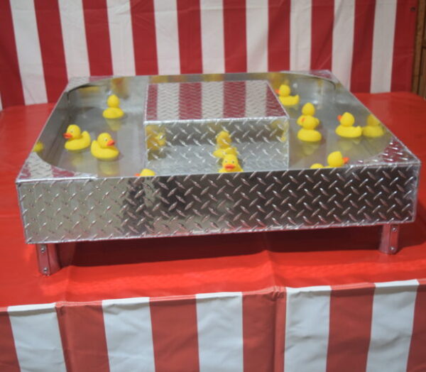 Fish Pond used as duck pond game